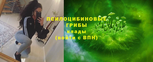 молекула духа Алексеевка