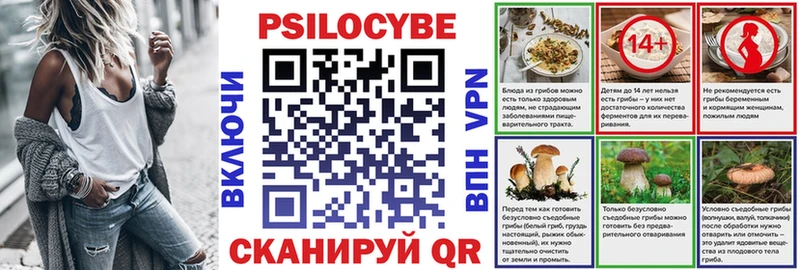 наркота  Дзержинский  Псилоцибиновые грибы мухоморы 