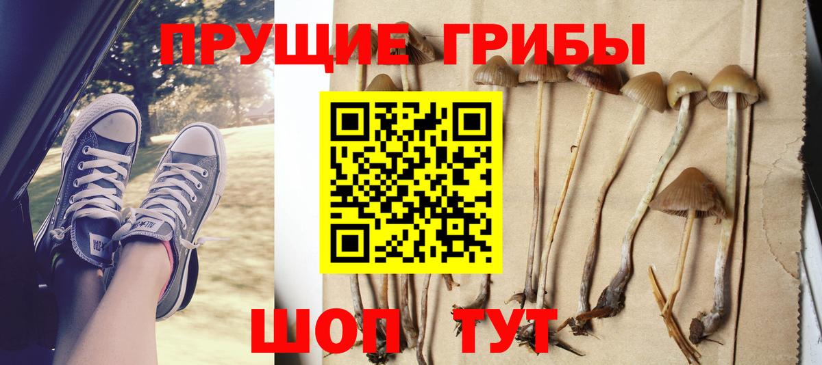 Дзержинский  Псилоцибиновые грибы мицелий  Вход с VPN  Галлюциногенные грибы прущие грибы 