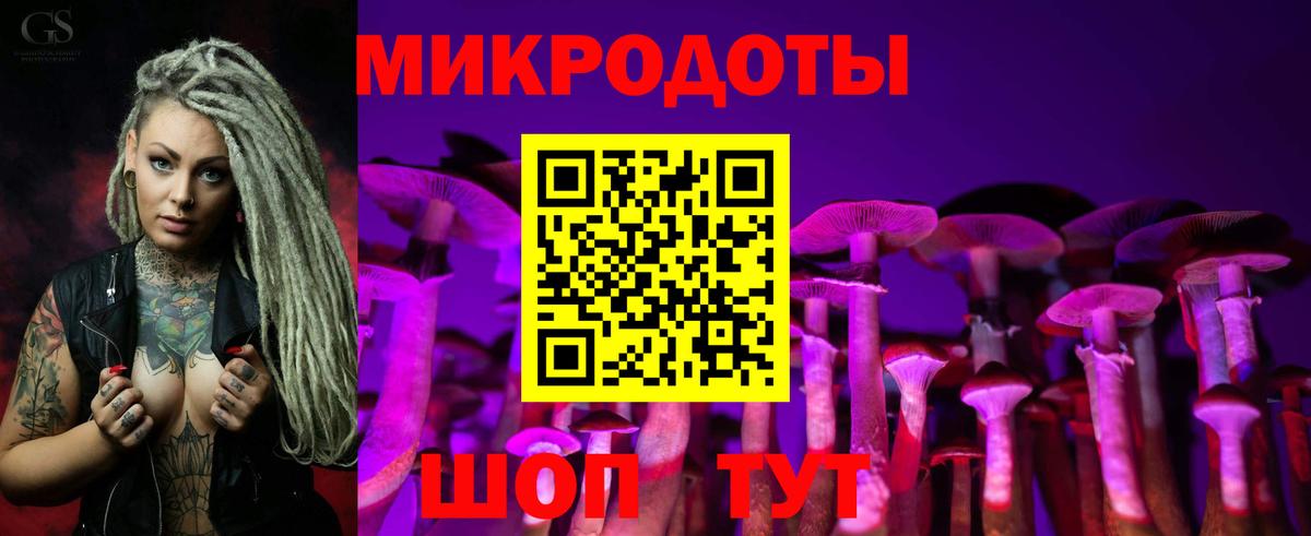 Галлюциногенные грибы Psilocybine cubensis Дзержинский
